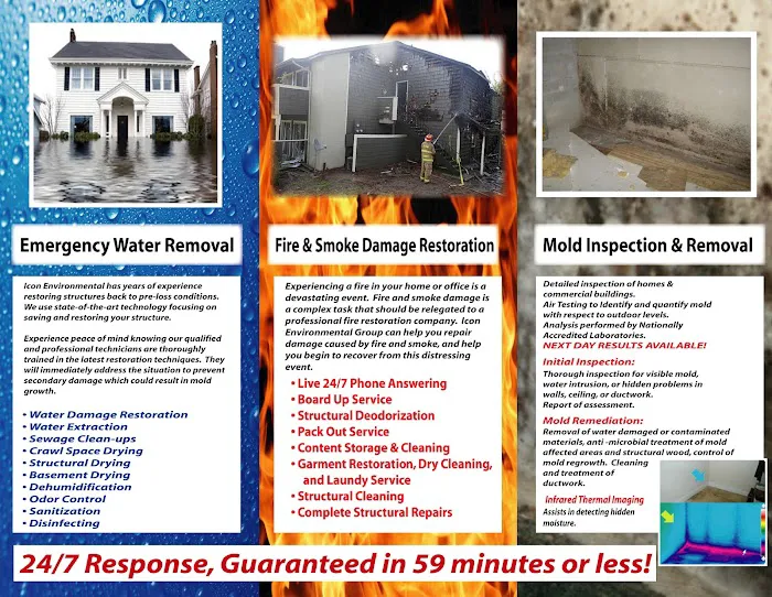 Icon Environmental Picture 4