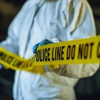 Icon Environmental ico