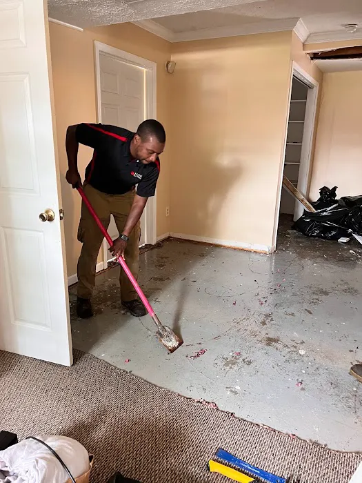 Icon Property Rescue Picture 3