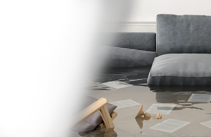 Complete Professional Restoration Picture 8