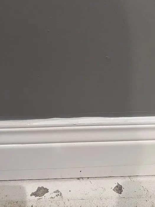 Complete Professional Restoration Picture 4