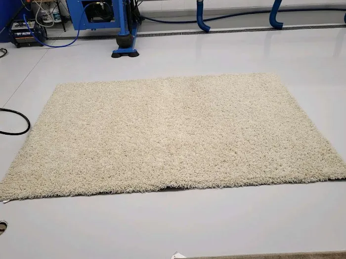 Steam Action Carpet & Upholstery Cleaning Picture 9