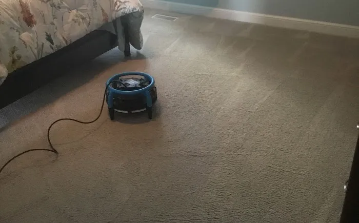 Steam Action Carpet & Upholstery Cleaning Picture 7
