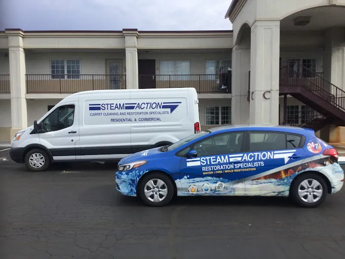Steam Action Carpet & Upholstery Cleaning Picture 10