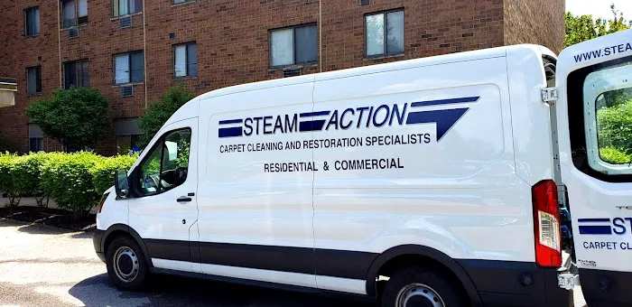 Steam Action Carpet & Upholstery Cleaning Picture 4