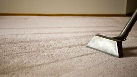 Steam Action Carpet & Upholstery Cleaning Picture 3