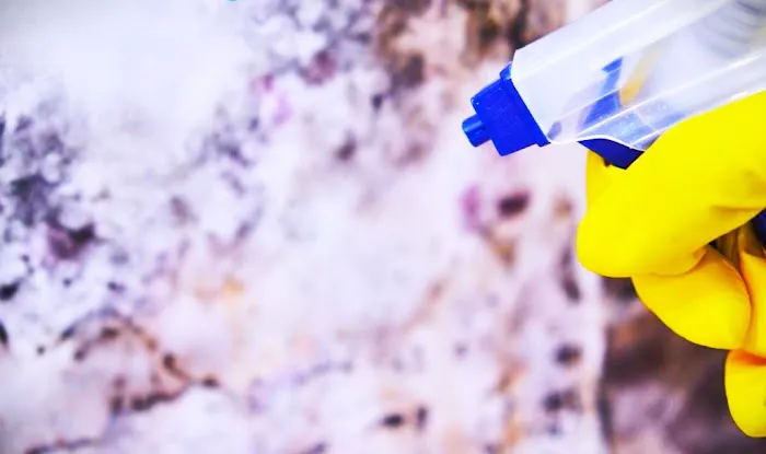 Fundex Mold Picture 5