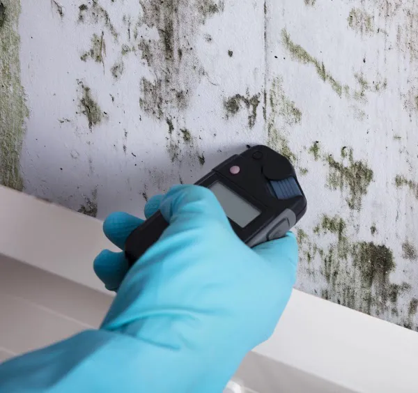 Securx Solutions, LLC Picture 3