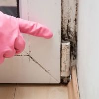 Securx Solutions, LLC ico