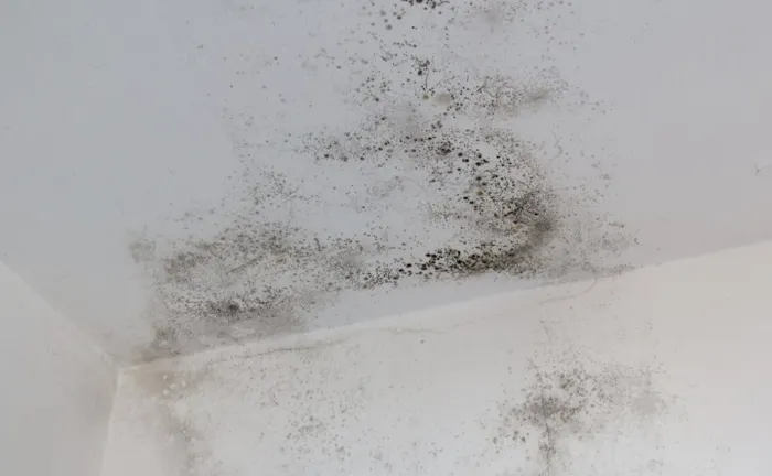 Cline Cleaning & Restoration Picture 10