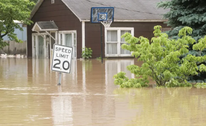 Cline Cleaning & Restoration Picture 7