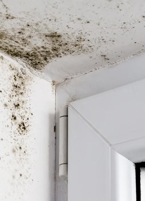 Cline Cleaning & Restoration Picture 3