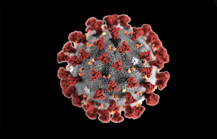 Cline Cleaning & Restoration Picture 9