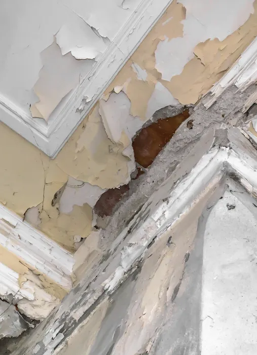 Cline Cleaning & Restoration Picture 6