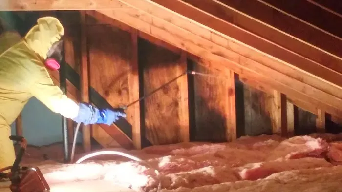 Restore It Picture 3