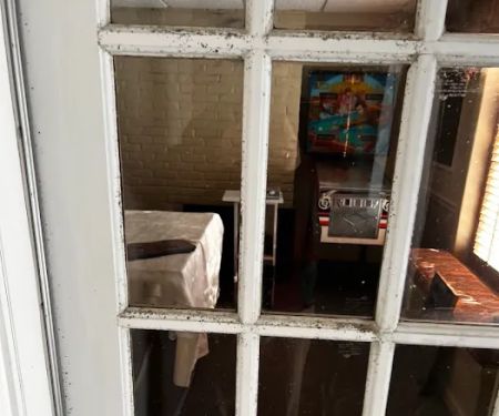 Mold Pros of Western PA