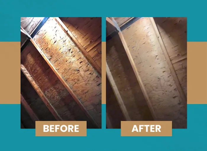 Mold Pros of Western PA Picture 9