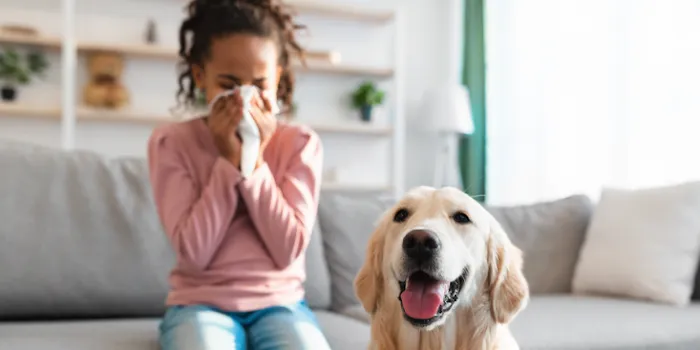 Mold Pros of Western PA Picture 2