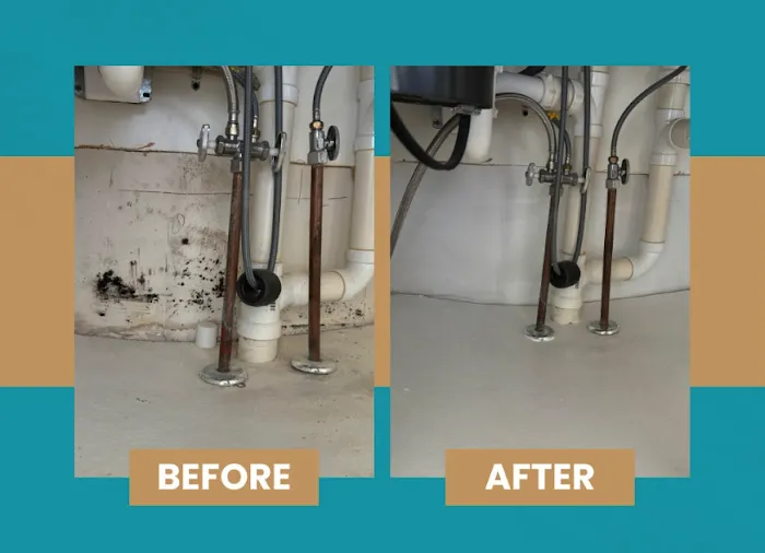 Mold Pros of Western PA Picture 8