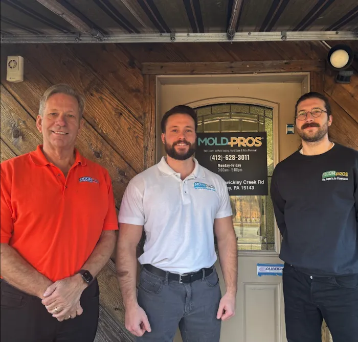 Mold Pros of Western PA Picture 10