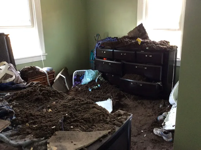 Disaster Cleanup & Repair Picture 3