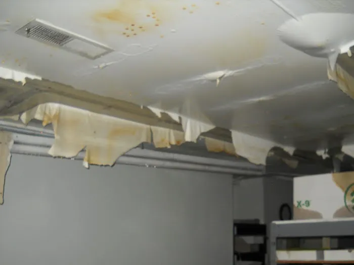 Disaster Cleanup & Repair Picture 1