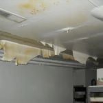 Disaster Cleanup & Repair