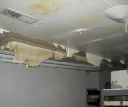 Disaster Cleanup & Repair