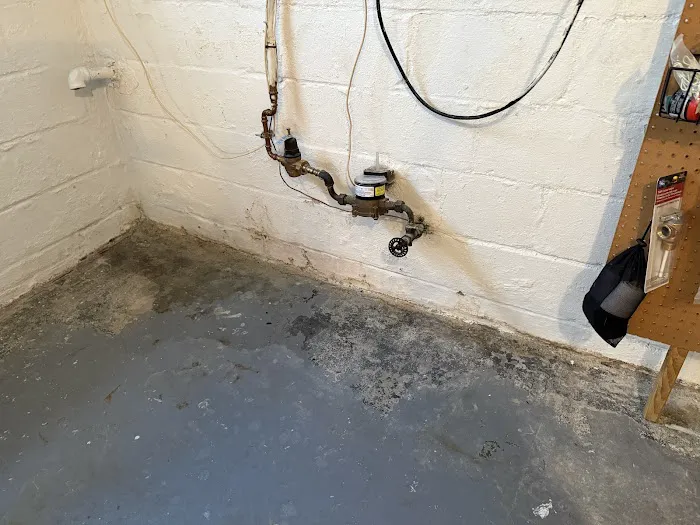 Bactronix Corp. Picture 2