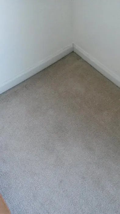 Chem-Dry by Kevin Jones Picture 10