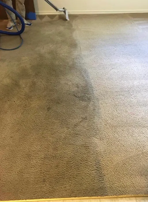 Chem-Dry by Kevin Jones Picture 6