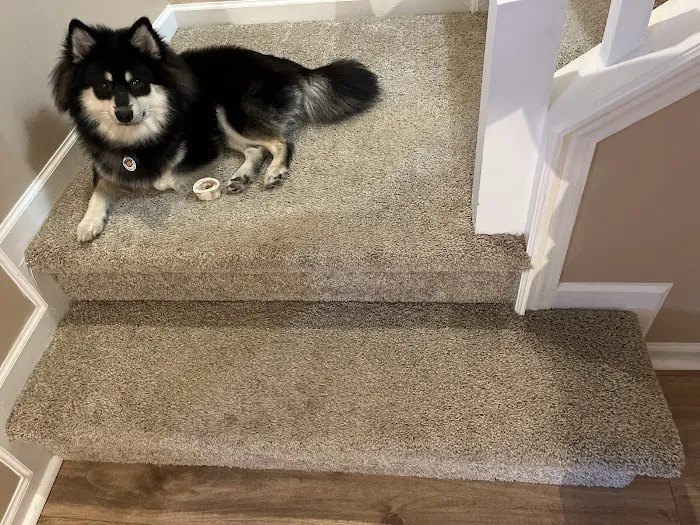 Chem-Dry by Kevin Jones Picture 4