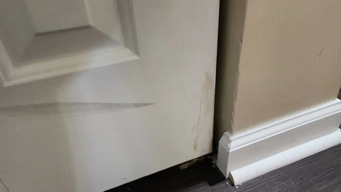 All Aspects Picture 1