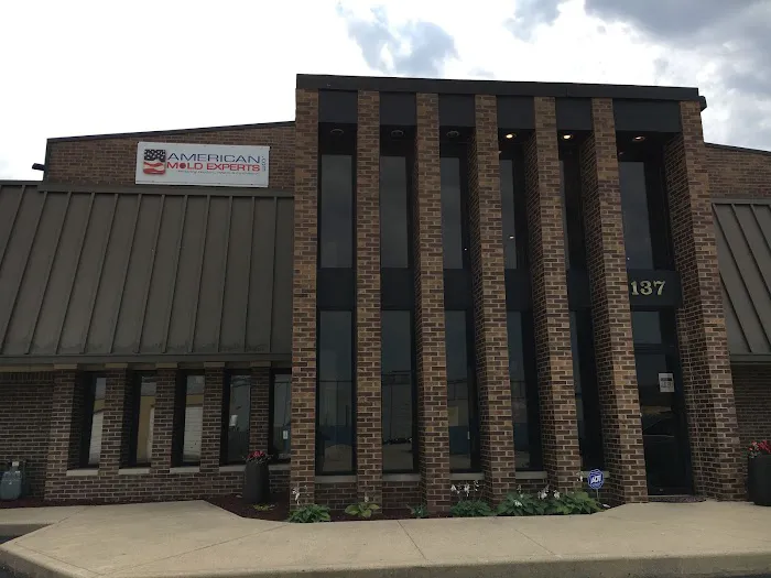 American Mold Experts MidWest Picture 5