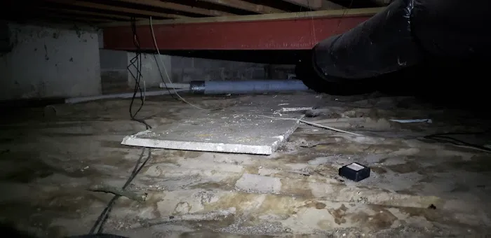 Hitman Solutions Picture 3