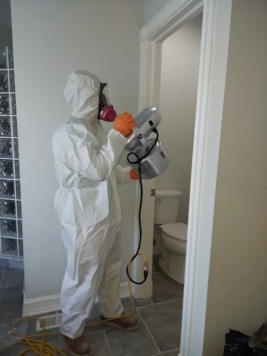 Mold Men Indy, LLC Picture 7