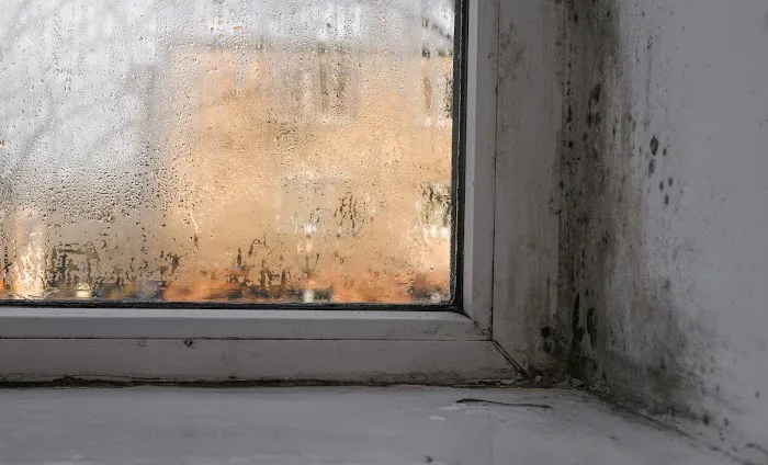 Mold Men Indy, LLC Picture 9