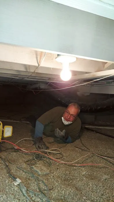 Mold Men Indy, LLC Picture 3