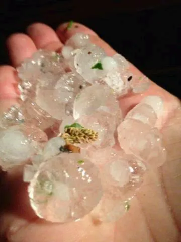 Contractors Plus Services LLC Picture 7