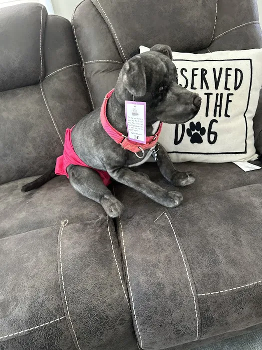 Renewal By A-One Cleaners Picture 10