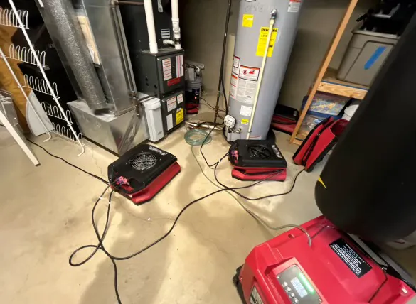 Dry Ally of Cincinnati Picture 1