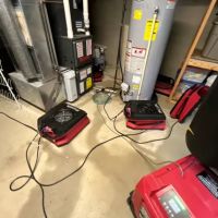 Dry Ally of Cincinnati ico