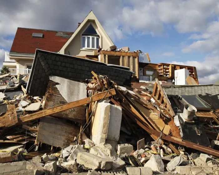 Rescue Brothers Picture 8