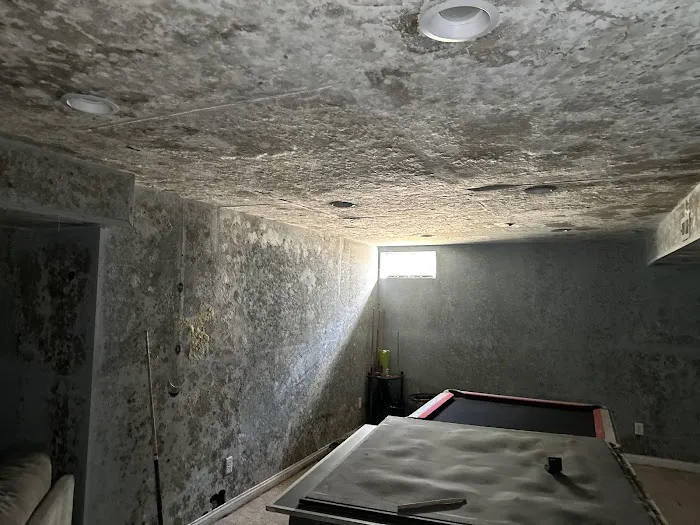 Rescue Brothers Picture 4