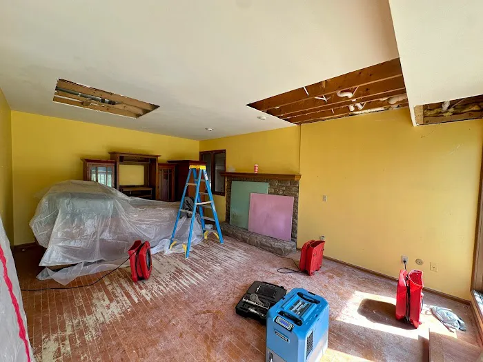 Rescue Brothers Picture 3