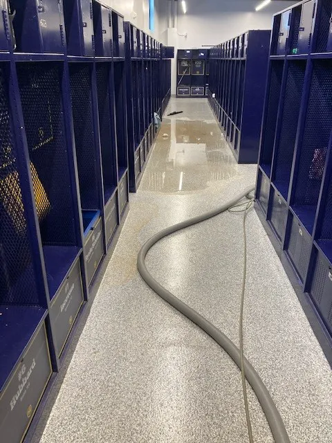 Apke Total Restoration Picture 6