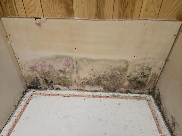 AdvantaClean Of Greater Cincinnati Picture 1