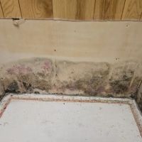 AdvantaClean Of Greater Cincinnati ico