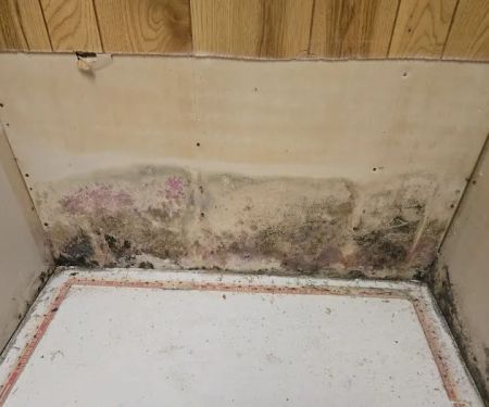 AdvantaClean Of Greater Cincinnati