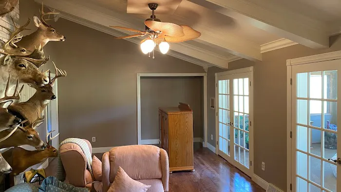 Jancsar In & Out Painting Picture 9